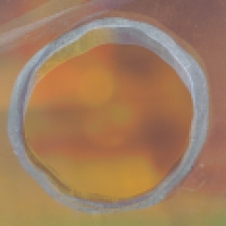 Circles Perspex 3.Still001